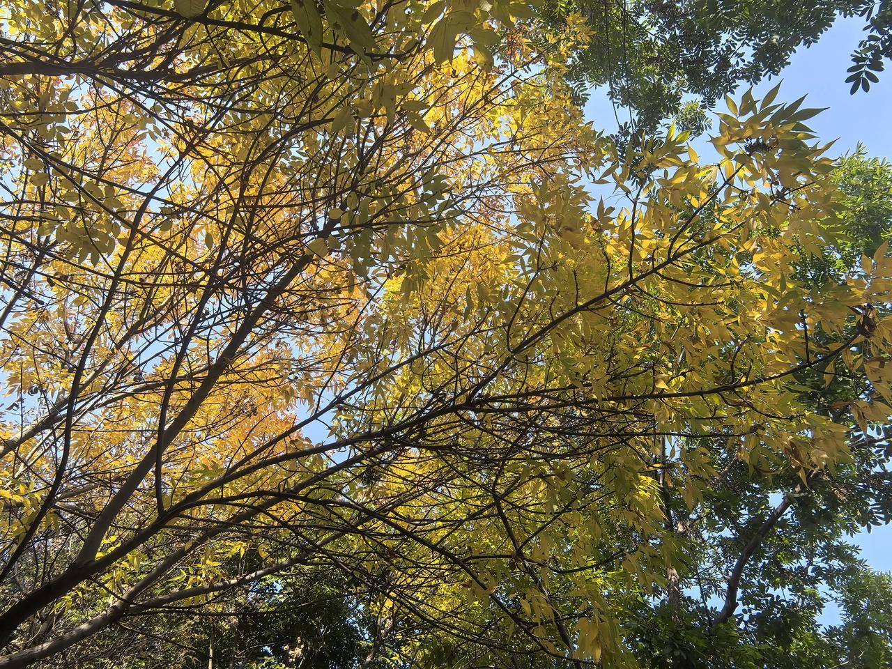 我的双十一

截止目前，买了一个包包、两件韩式打底上衣、两件毛衫、三条裤子、两件