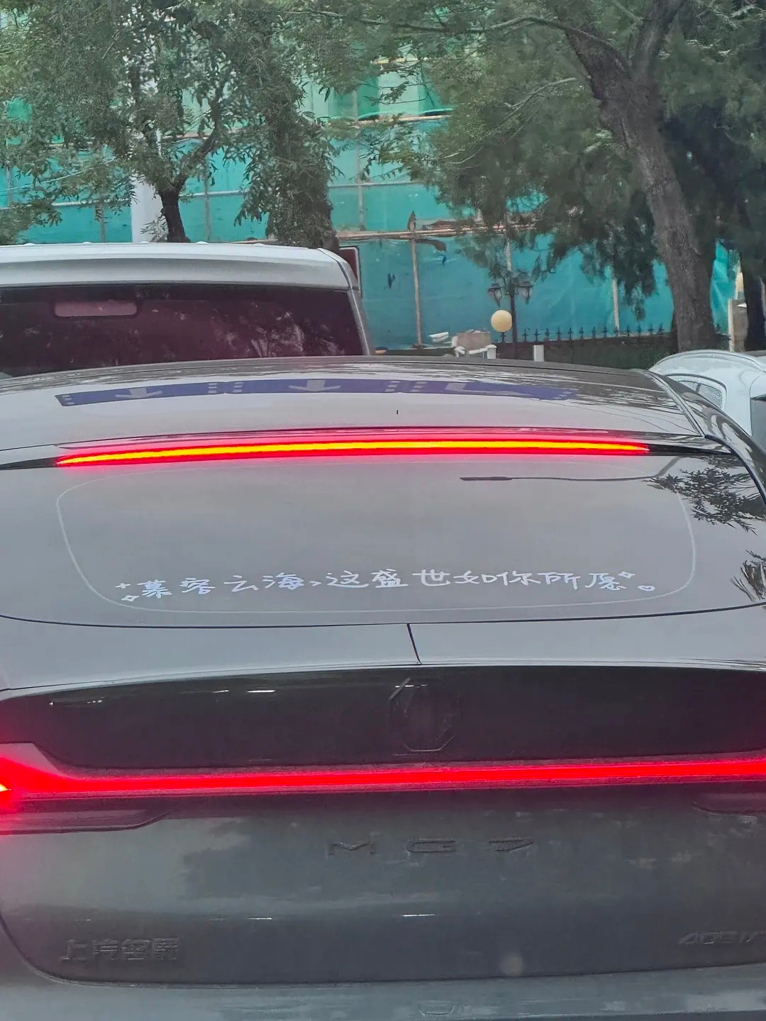 如果是我，我在车上贴：林则徐，我肺疼 ​​​