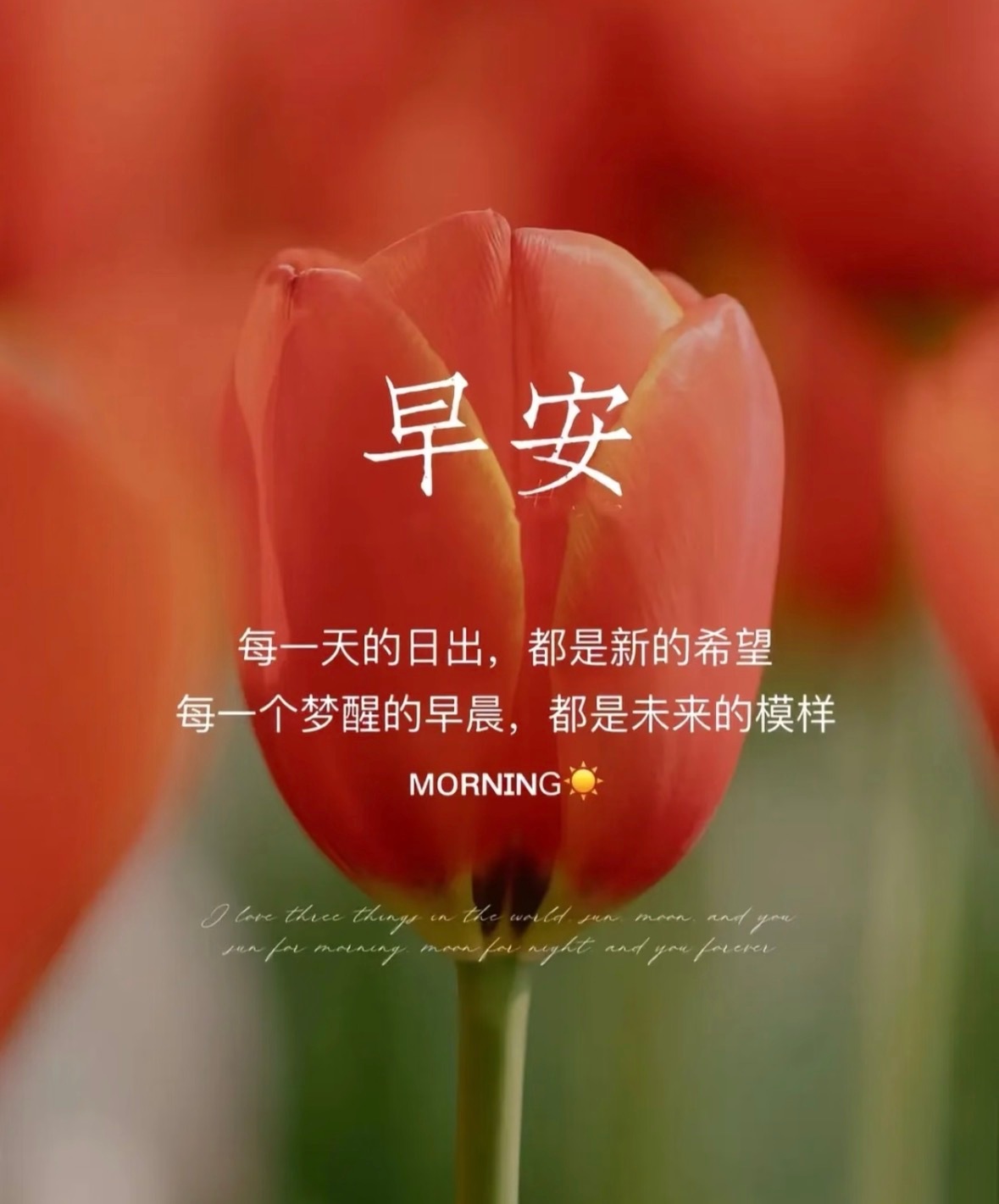 每一天的日出，都是新的希望每一个梦醒的早晨，都是未来的模样早安，美好且充满希望的