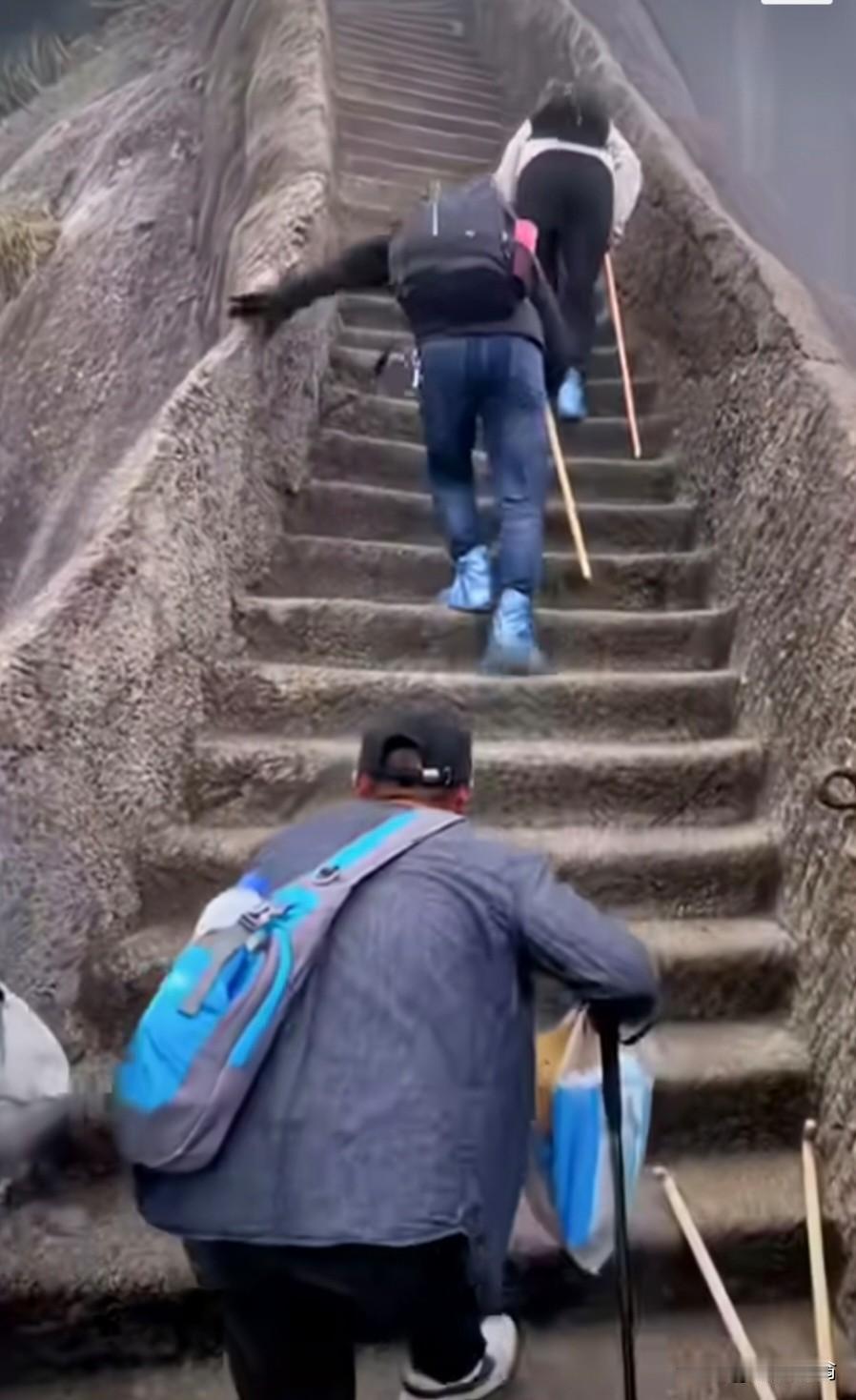 衙内难见清廉人。
