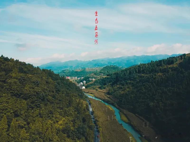 找到人生使命的过程，
其实就是读懂自己，探索自己，回归自己的过程。
也是一个生命