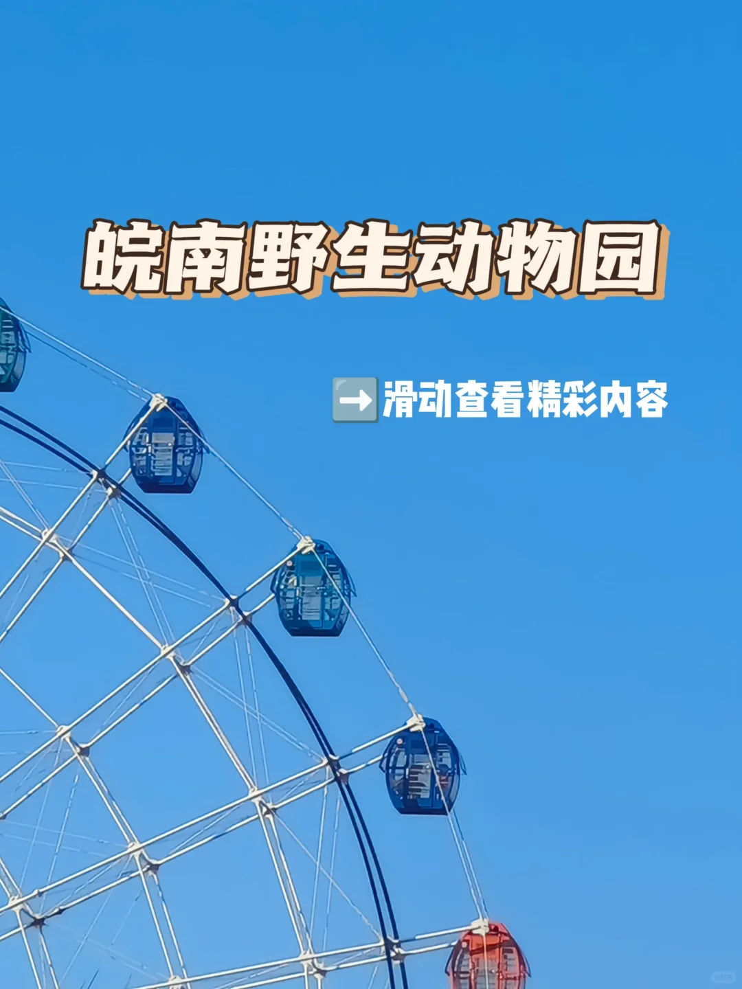 🌟泾县野生动物园全攻略：快乐游玩一整天