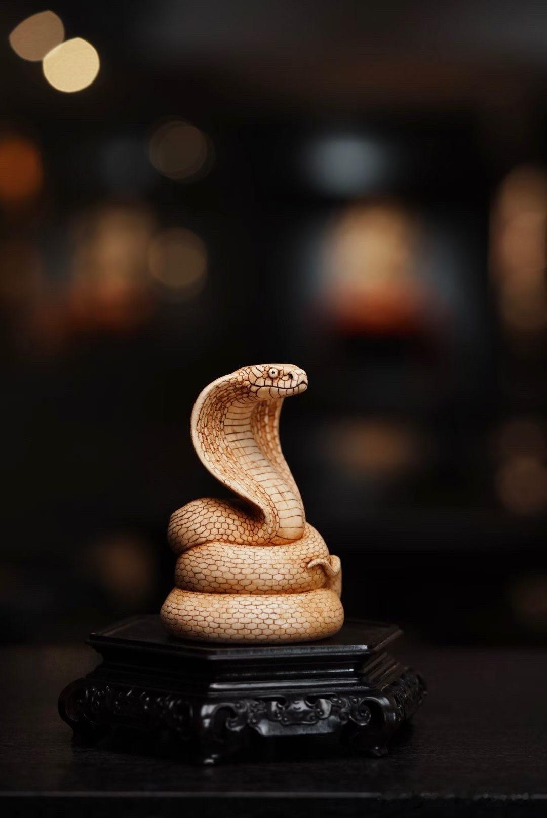 有些动物题材靠力量取胜，有些靠气势取胜，而蛇最难的，是把那种“静而不动，却令人心