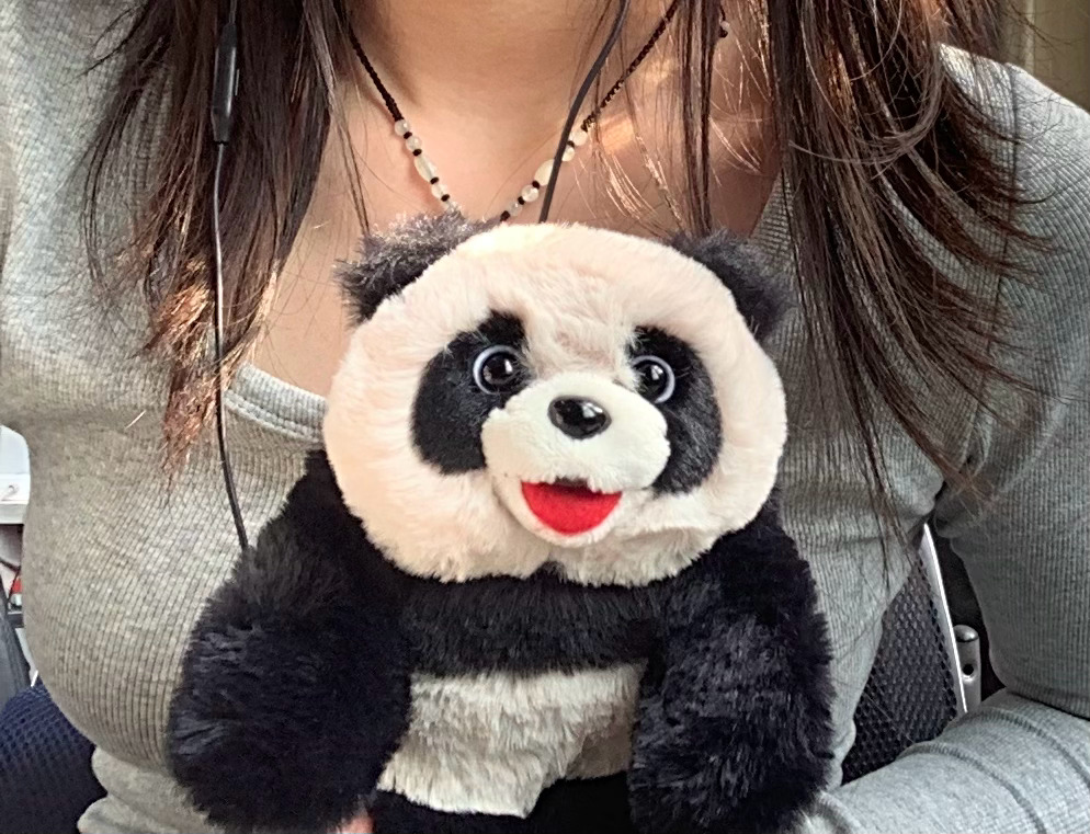 🐼 