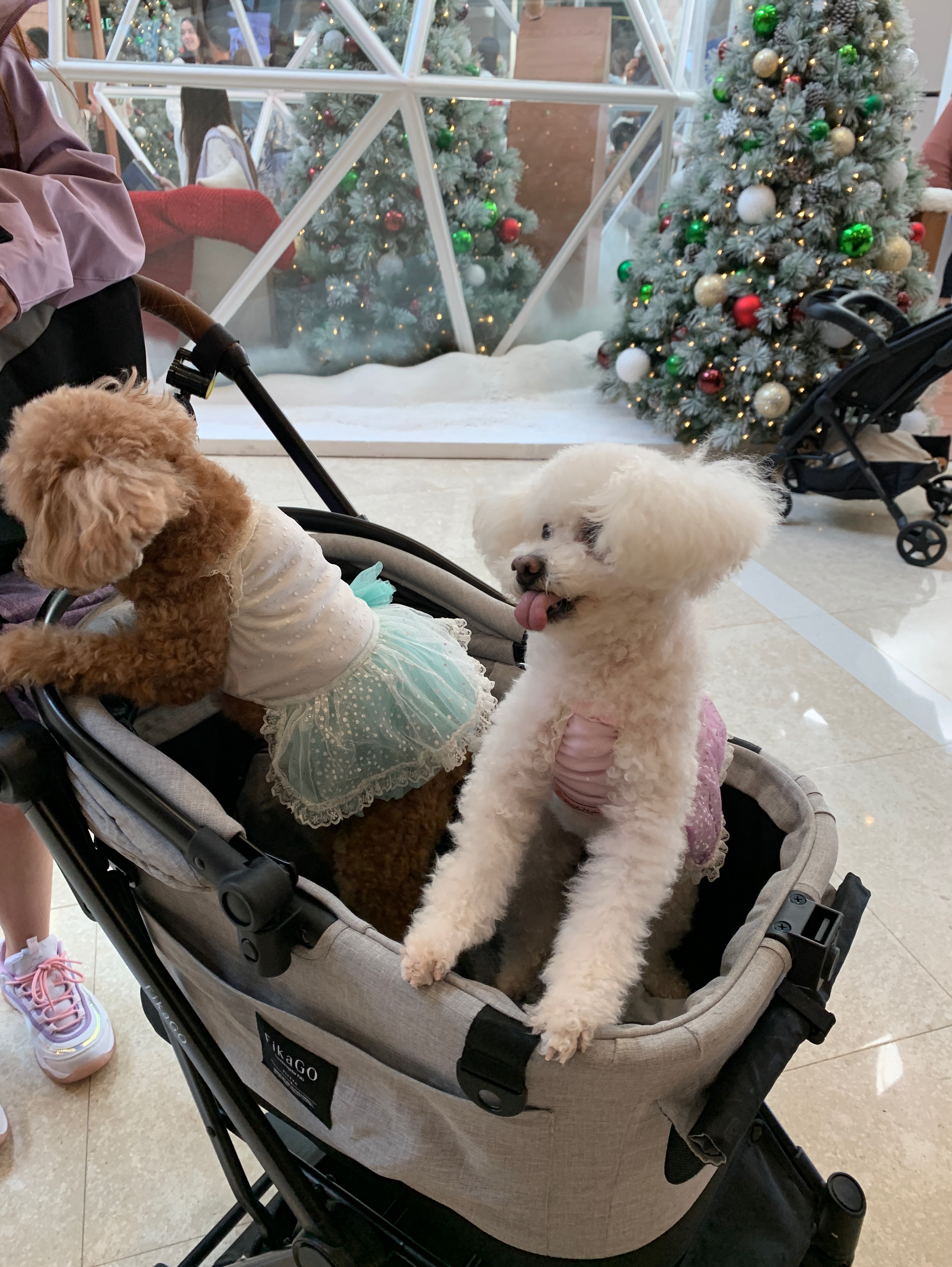 好看好穿好玩的灯芯绒裤子 底面还有磨绒的！可以暖心过冬 最后有福利👀 ​​​