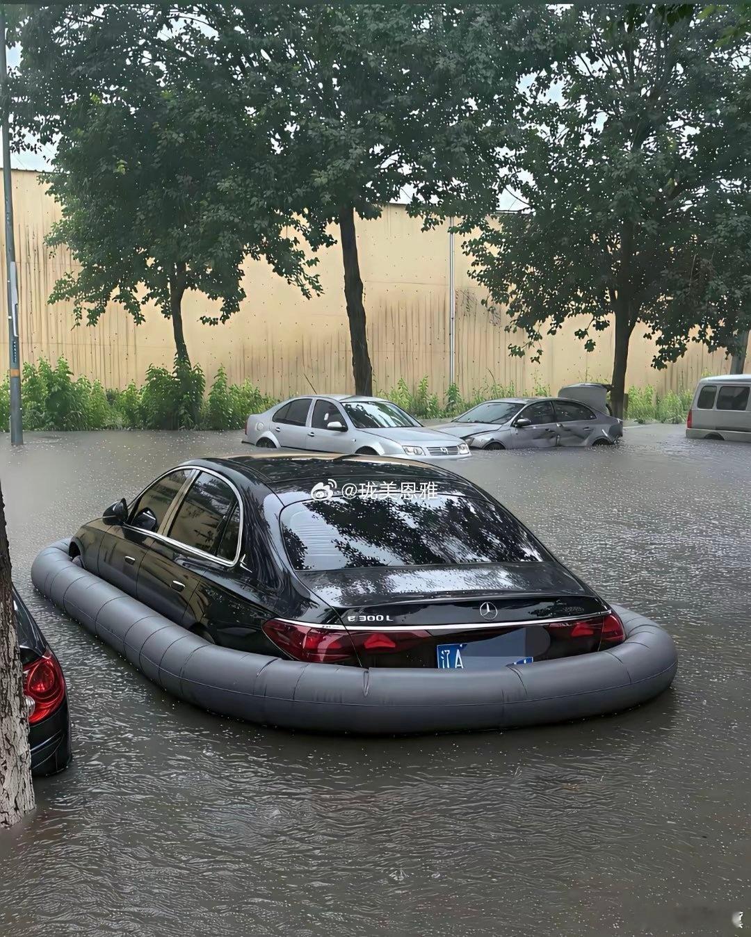 只要是底子厚实，根本无惧风雨 