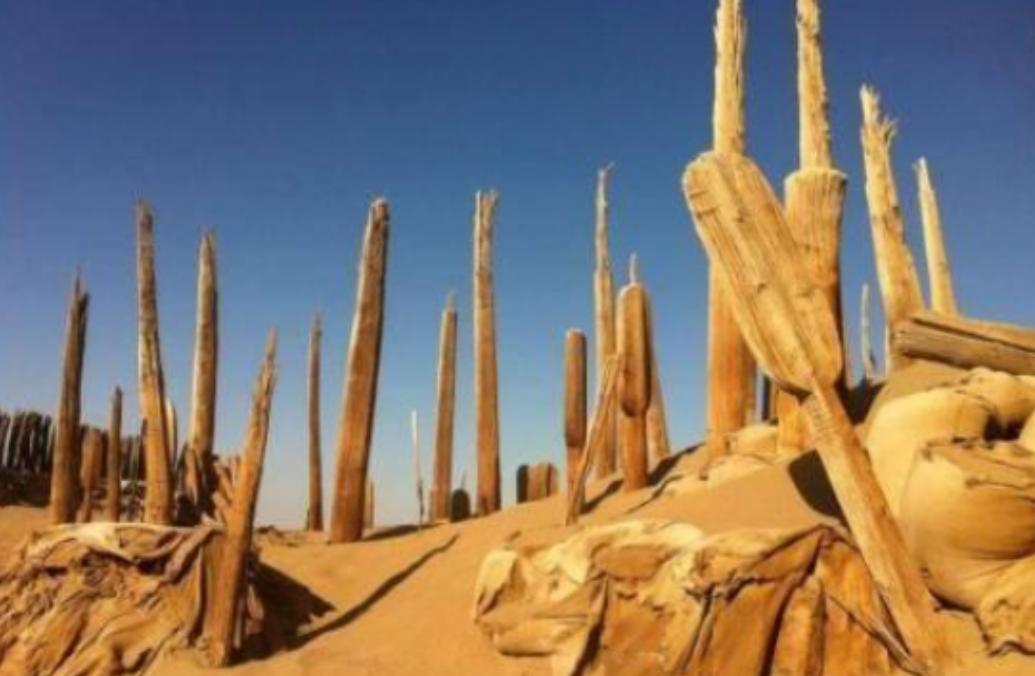 [太阳]2003年，一队执行秘密任务的军人，经过一片荒漠时，被眼前的一幕惊呆了，