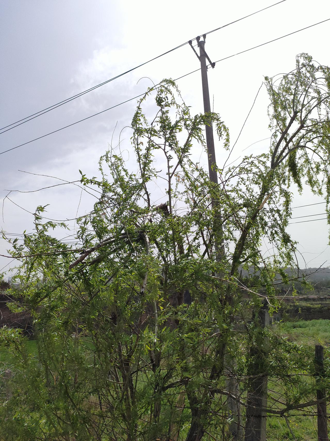 活得太懂事的人最委屈，好好活着才不亏此生
 
咱们这一辈子，好像总在学着“懂事”