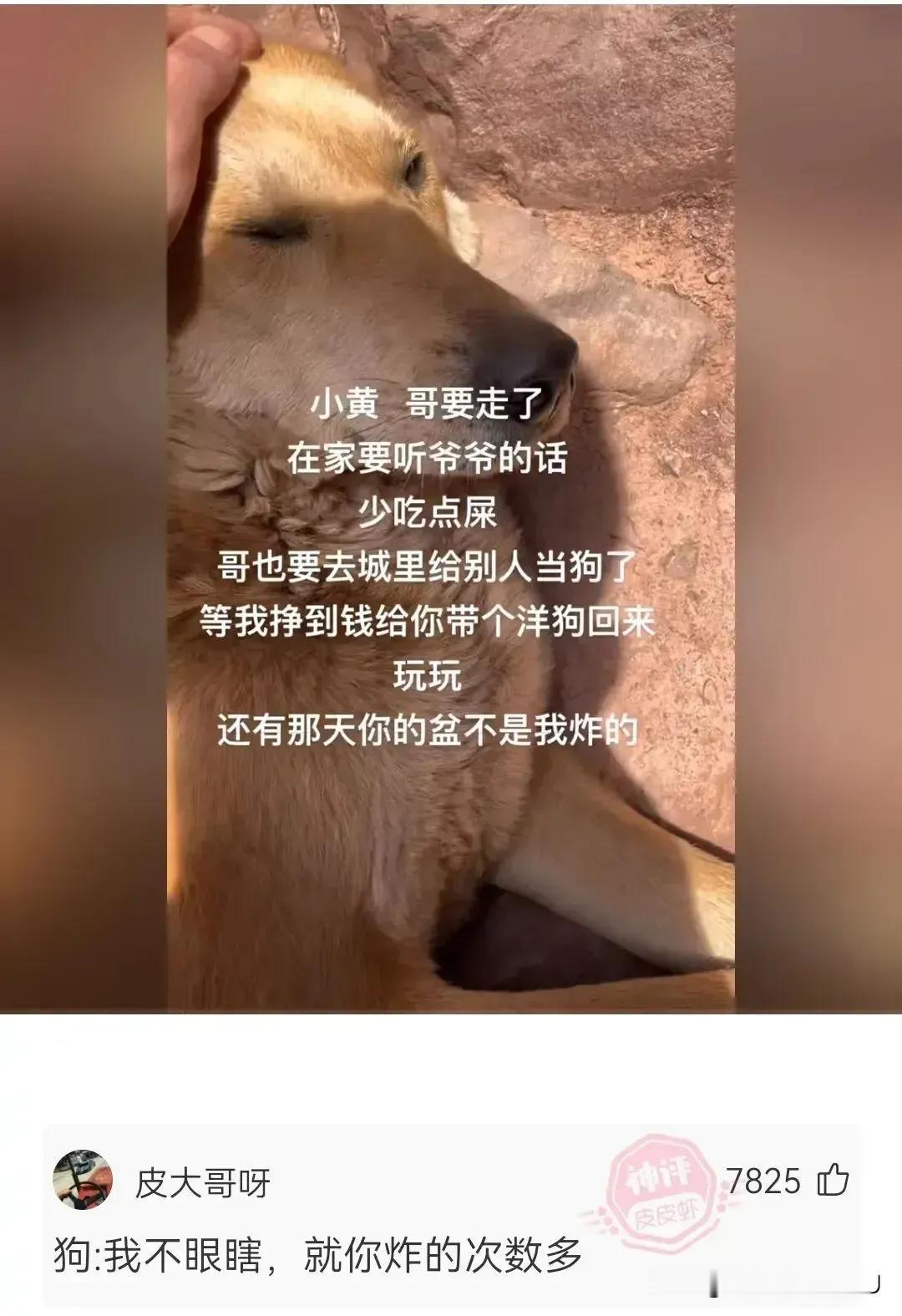 你炸的次数最多，还笑的最大声