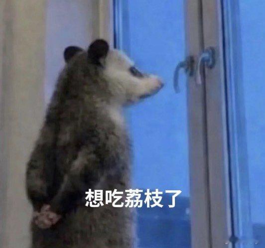 珠海荔枝鲜到西安现代恒温舱护送荔枝从容远行，对比古时加急快马。科技改变运送方式，