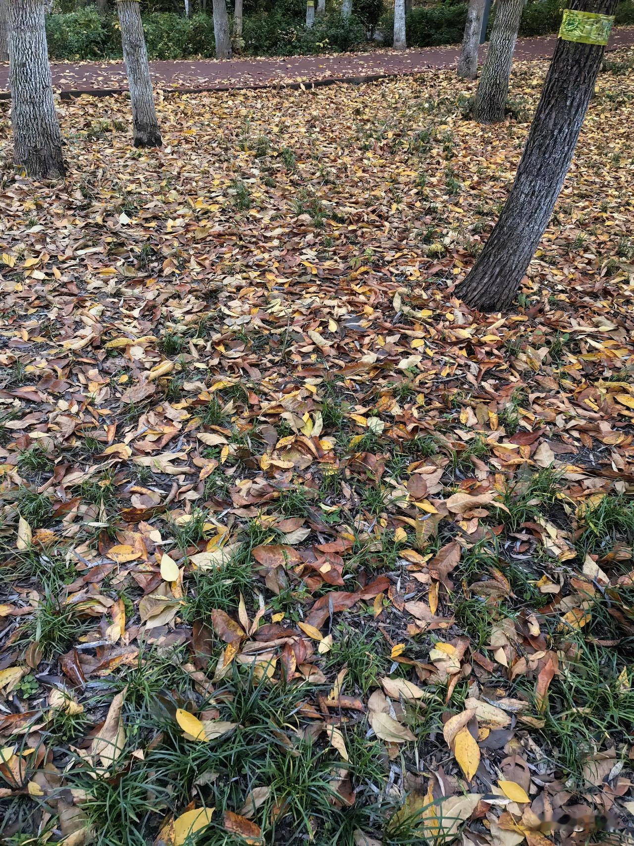 冬日生活打卡季