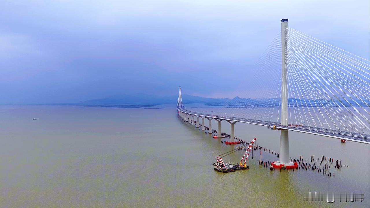 广东省各条跨海通道的功能定位有所不同，例如深中通道旨在缓解珠江口区域的交通压力，
