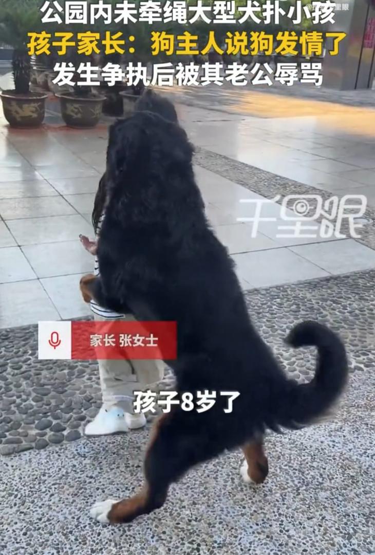 太嚣张了！云南玉溪，一位宝妈带着孩子去逛公园，期间一条未栓绳的德牧突然扑向孩子，