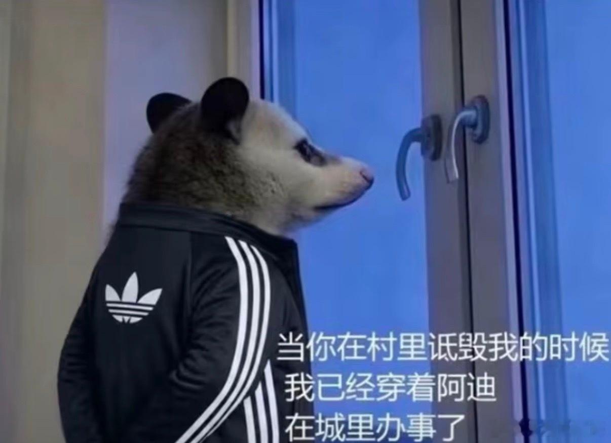 好家伙 紧跟在城里办事热梗 ～李现进城办事专T首穿