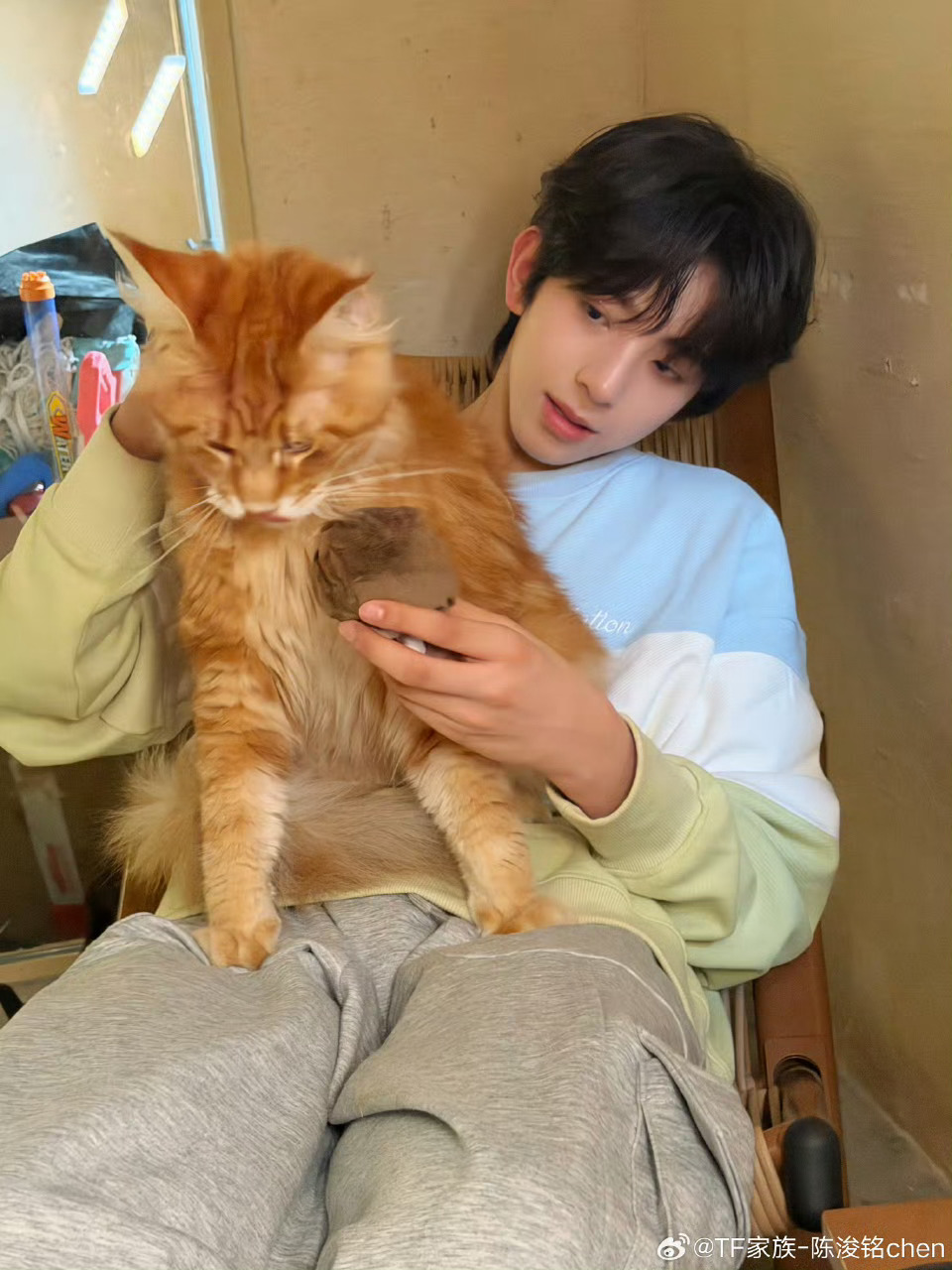 陈浚铭再帅十年也才23岁此男再帅十年也只会帅上加帅含金量…… 