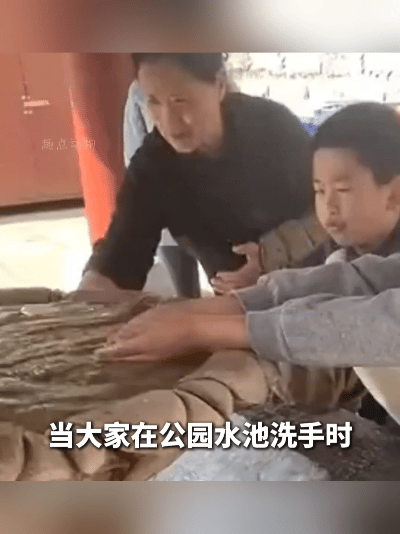 这才是刻在骨子里的善良！小男孩喂猫的样子，暖到心尖儿了！
 
公园里大家都在水池