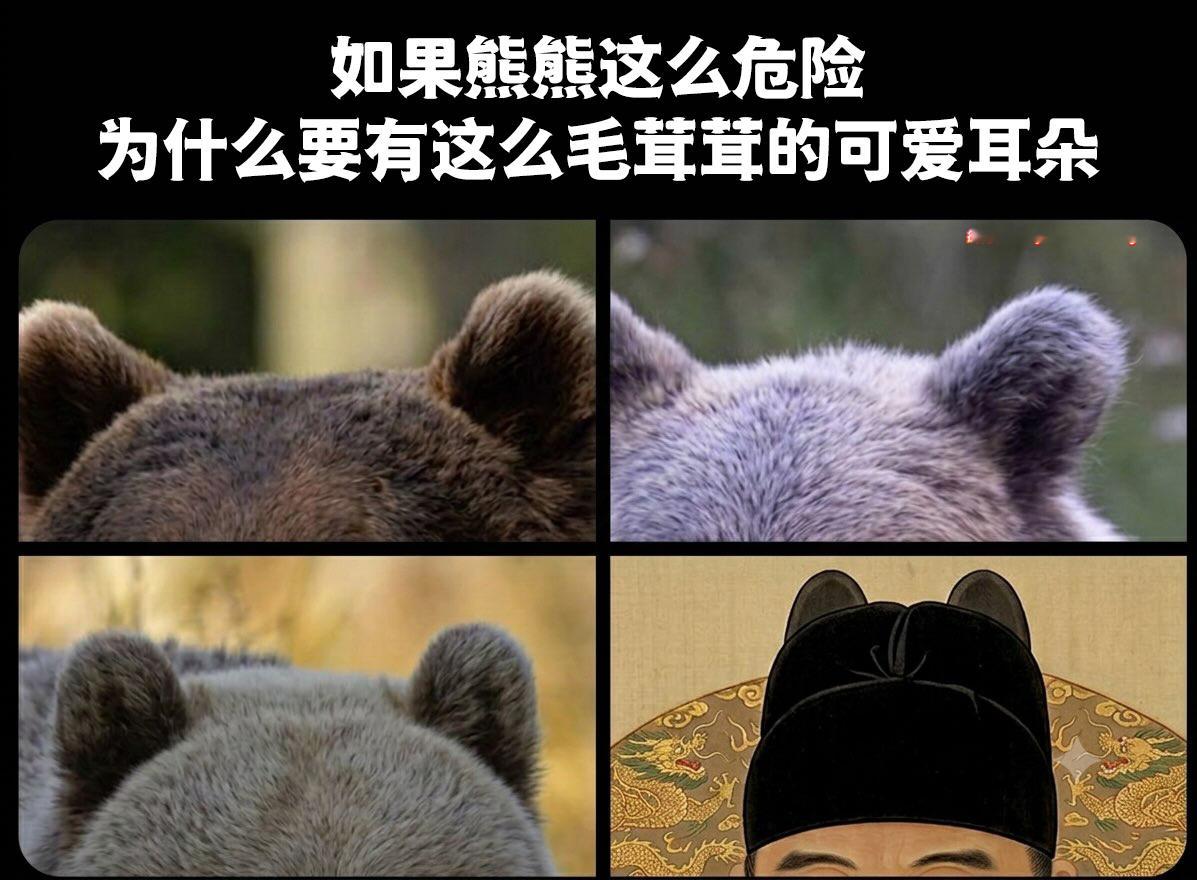 为什么呢meme