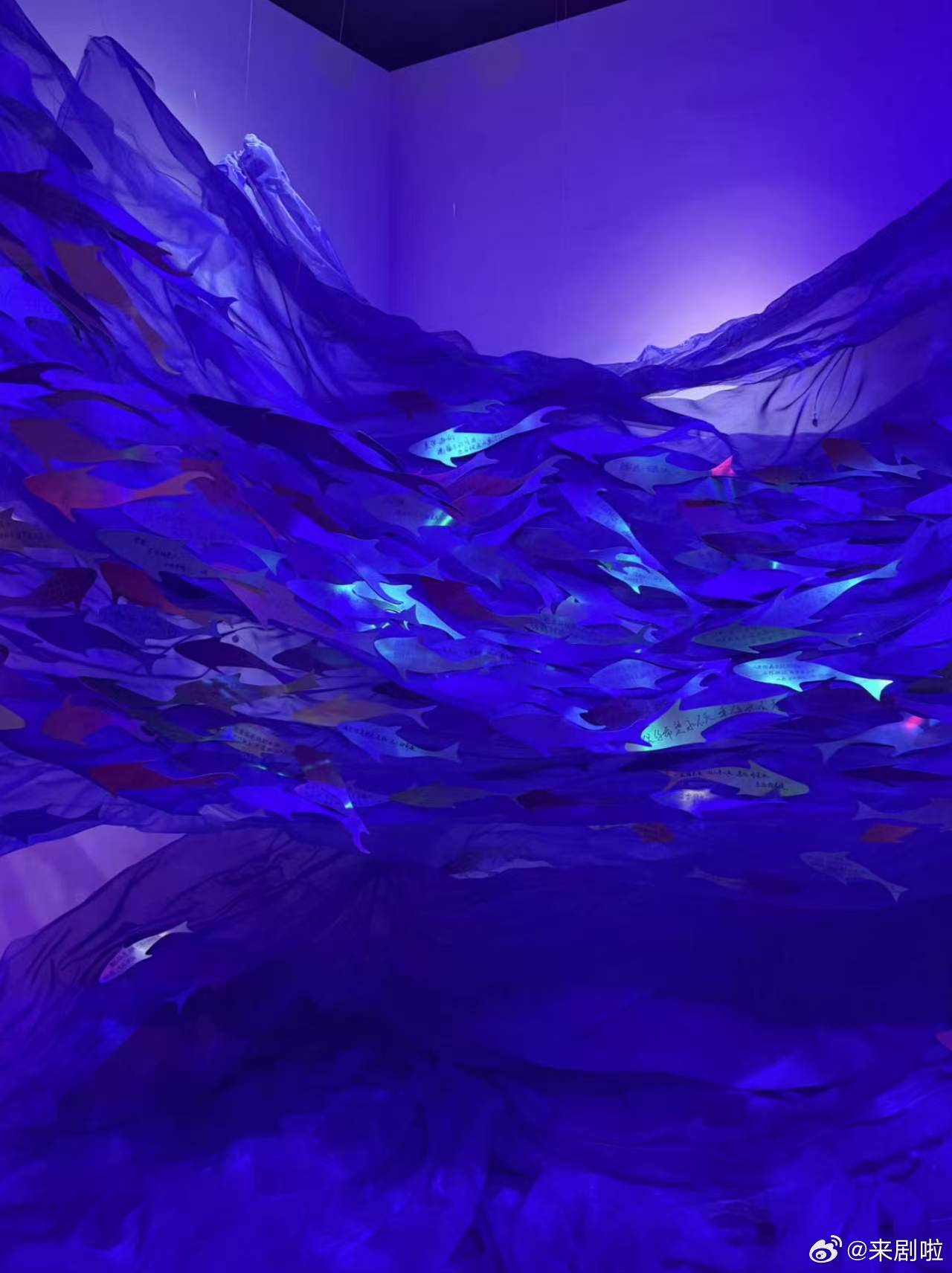 今天给一条小鱼过生日 恋与深空的祁煜，永远都要开心快乐。今天要给我们的一条小鱼过