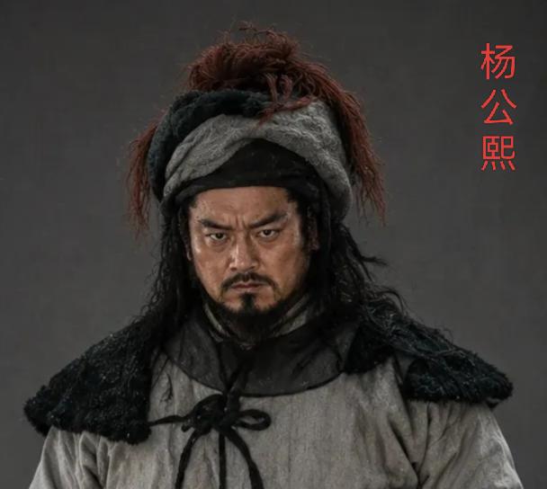 杨公熙，南北朝时期的北魏官员、氐族首领，他是仇池国君主杨难当之孙，承袭爵位被封为