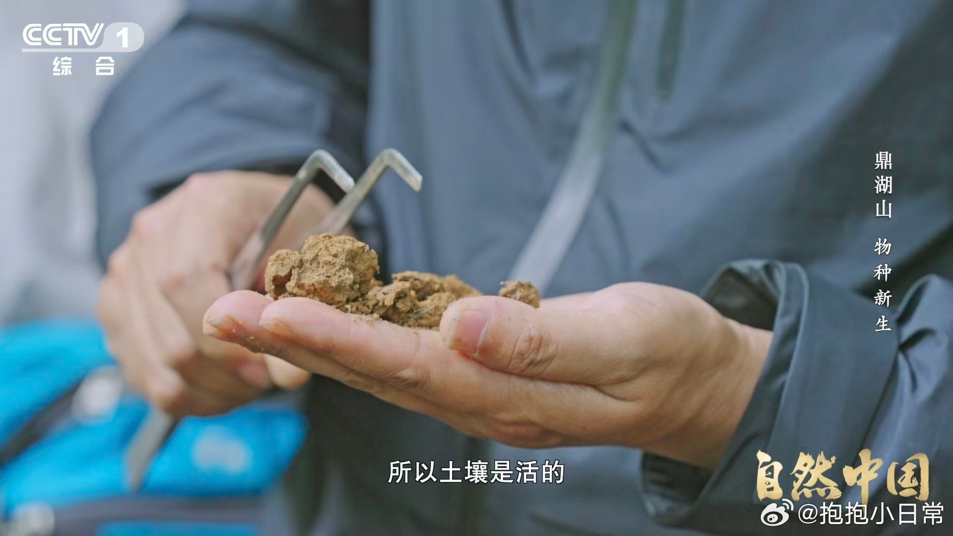 土壤的土腥味从何而来 刷到这个突然涨知识了！以前只知道土壤能种东西，没想到它的矿