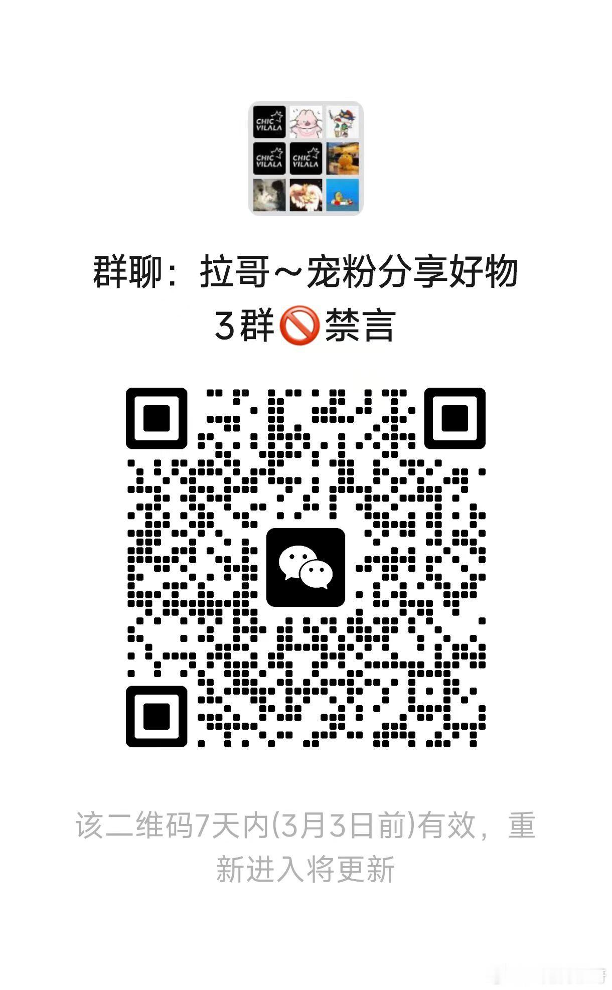 不定时发红包👇好物分享 