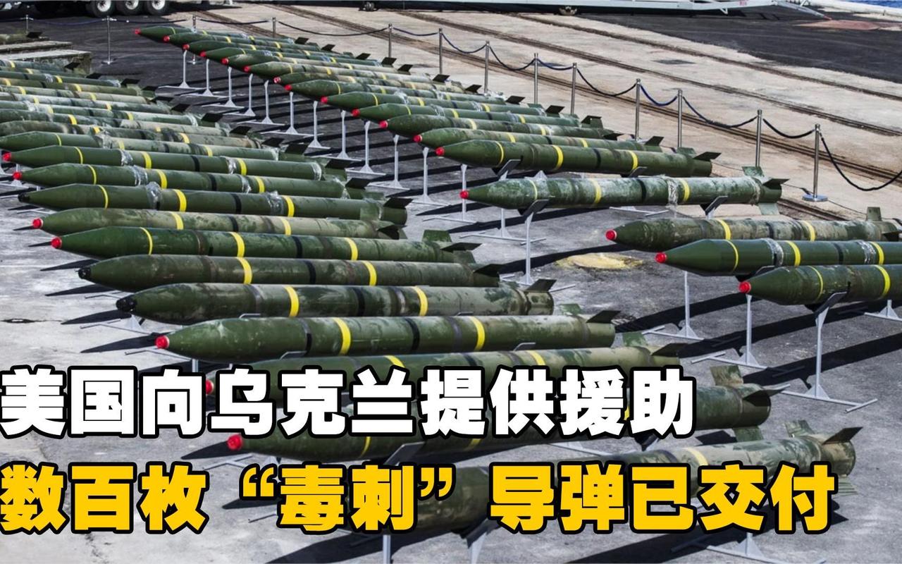 叱咤冷战的毒刺导弹，如今在现代战场频频失手。昔日的低空杀手为何风光不再？美军重金