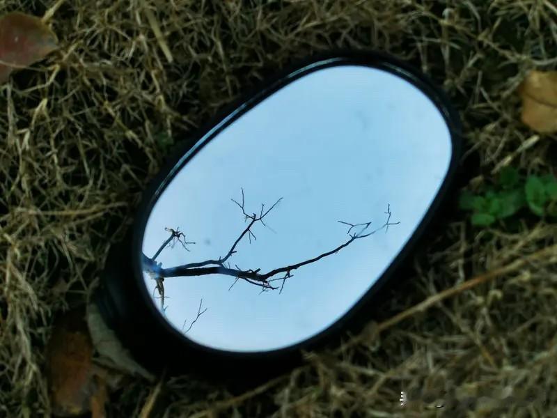 反以观往
我转身走向来时的路
那里有落叶叠成的年轮
每一圈都是未寄的信

复以验
