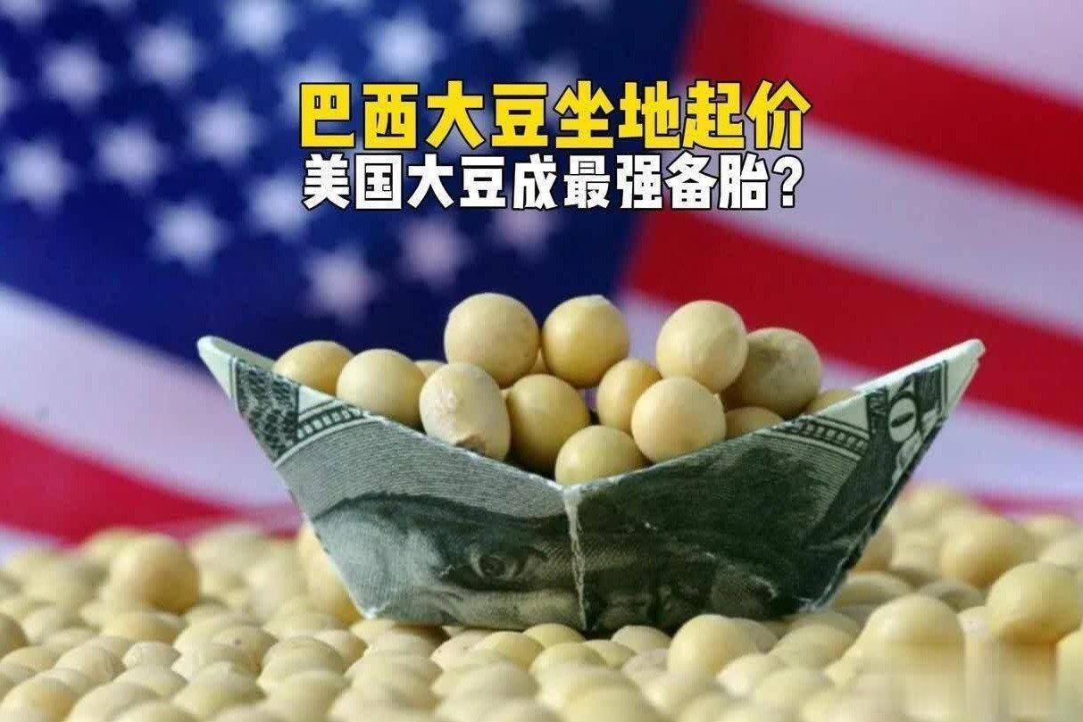 凤凰新闻【恢复进口美国大豆！巴西该搞清楚了，全球大豆的定价权在中国手里】巴西大豆