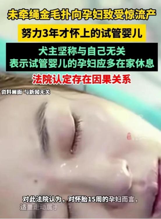 上海，一孕妇去取快递，半路一只金毛犬突然扑向她，孕妇吓破了胆，连连后退，狗主人见