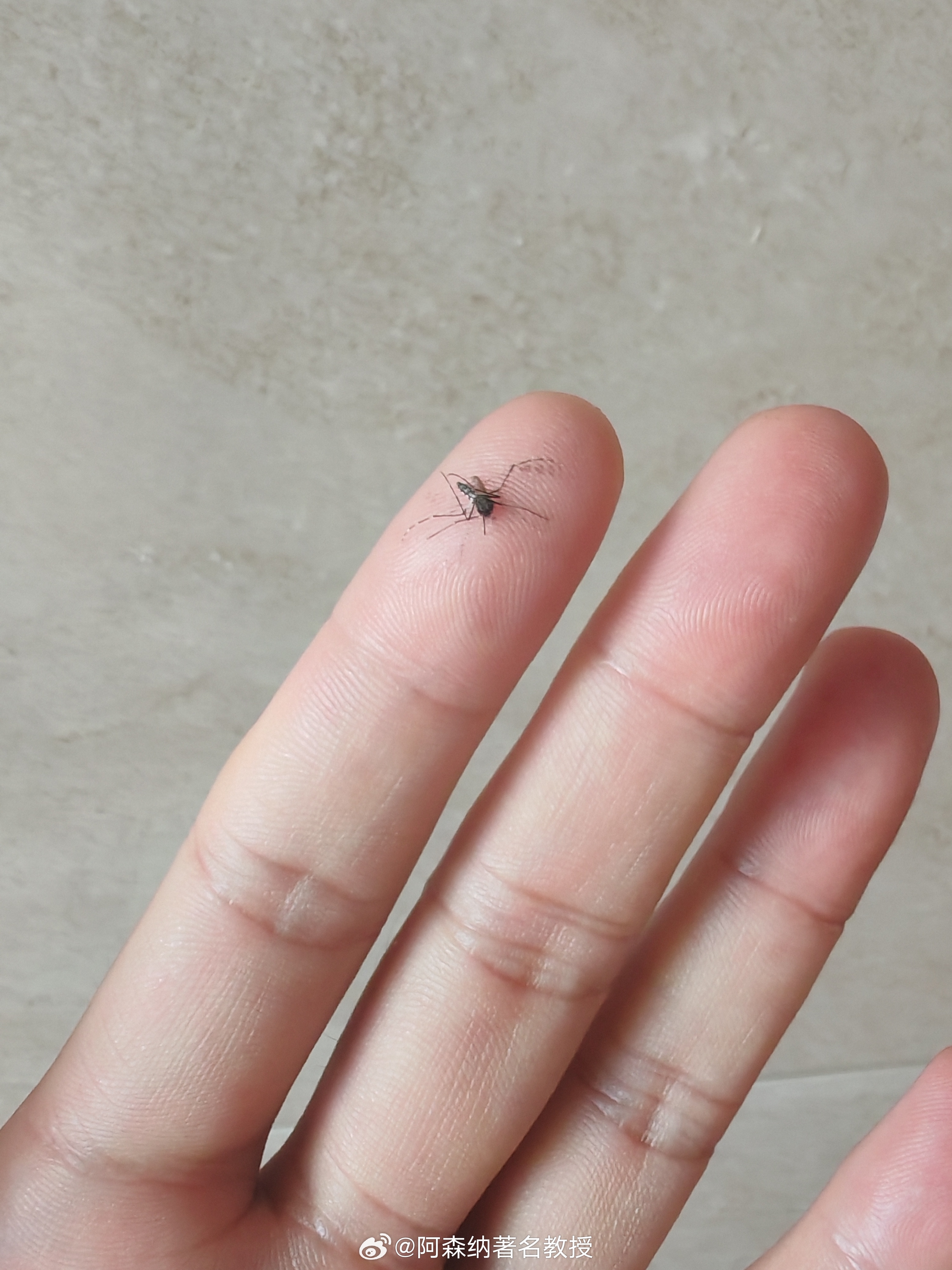 为什么已经立秋了，蚊子都飞不动了，还总是叮我啊？ 北京