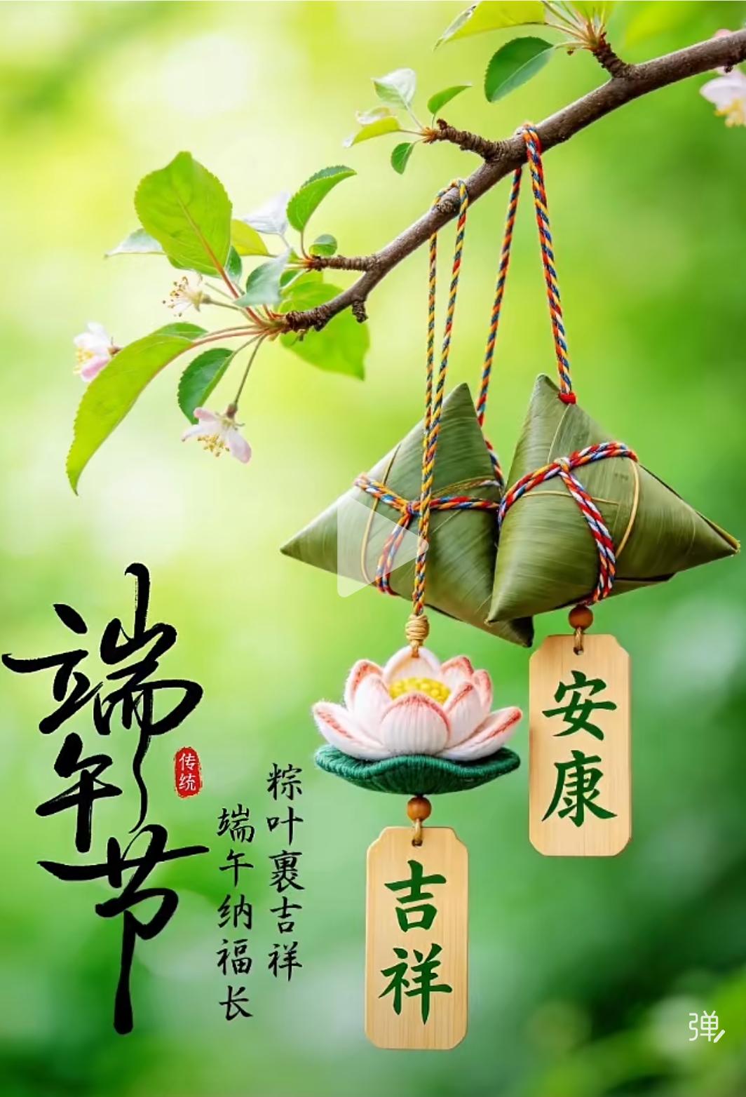 我认为甜粽子，我不喜欢吃咸粽子，菜的话我不接受甜的，但是粽子我喜欢甜的，我是北方