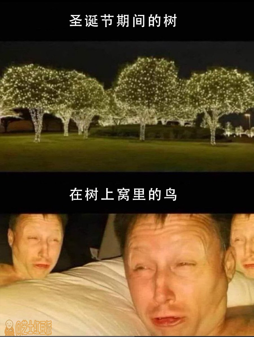 让不让人睡觉了#meme# ​​​
