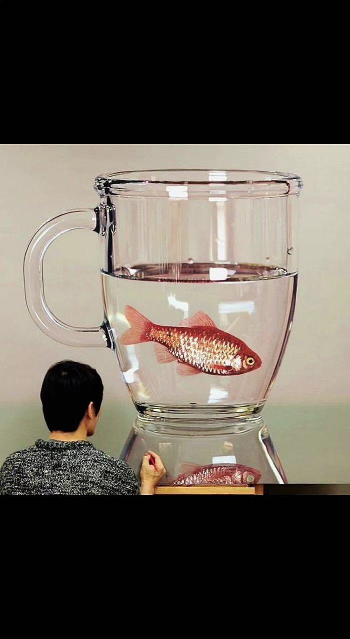 🐠鱼缸是杯子？杯子是鱼缸？红鳞困在透明迷宫里，人在迷宫外看红鳞。我们都在各自的
