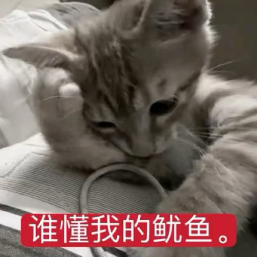 我的人际关系和螺蛳粉一样臭臭的 