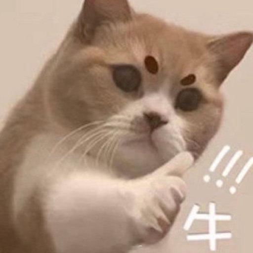 百只宝宝类基金收益率破1市场整体环境偏平淡，超多日常闲置存放的常用品类表现走低，