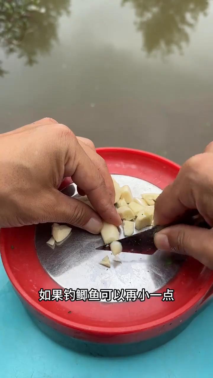 大蒜是野钓鲫鱼最好的搭配，还可以避免小杂鱼闹窝。下面我用大蒜给大家制作一款野钓鲫