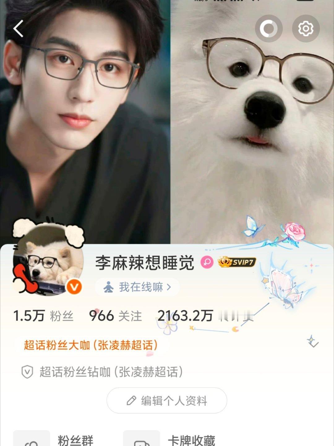 是宝宝