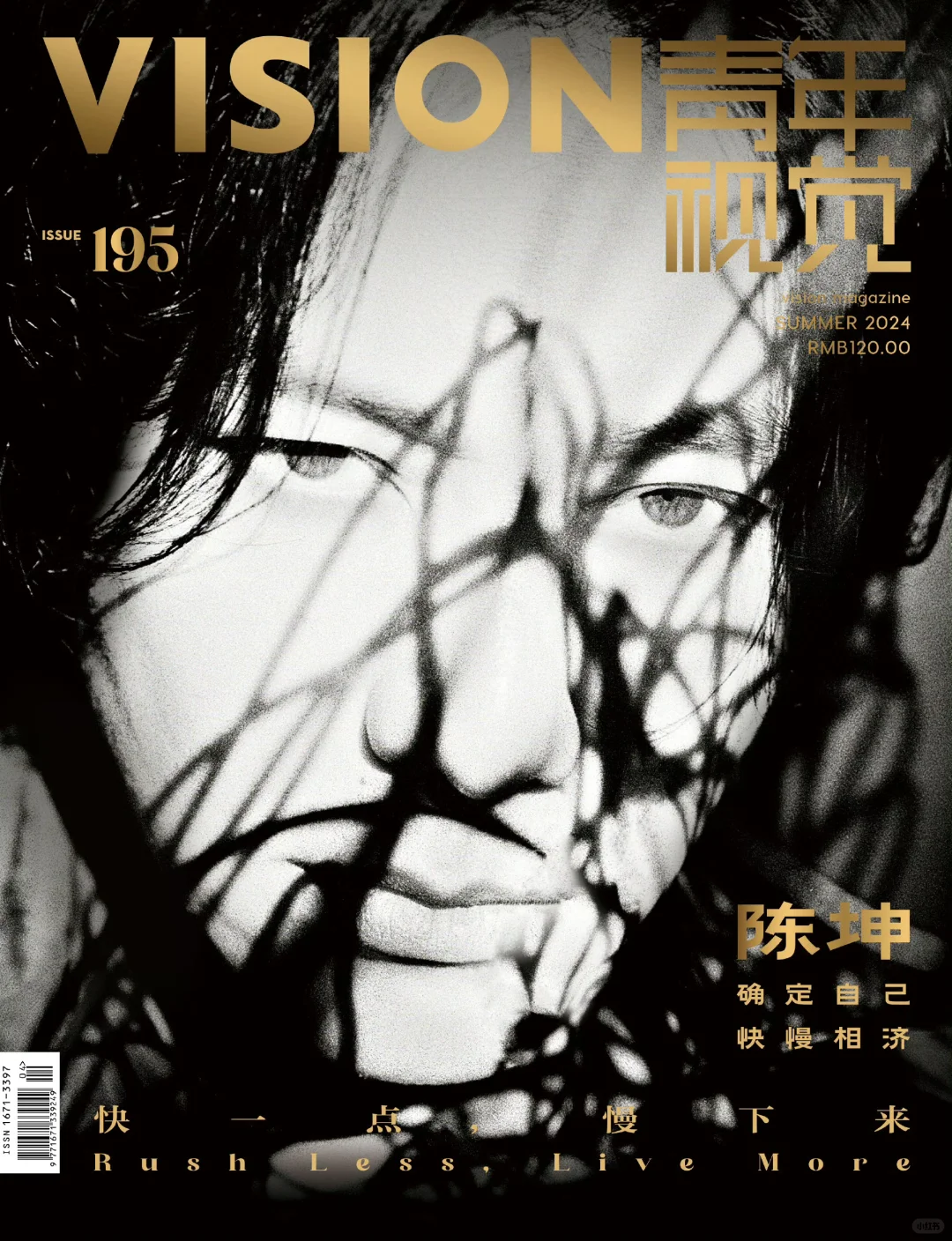 你的脸就是艺术品。陈坤青年视界艺术封面