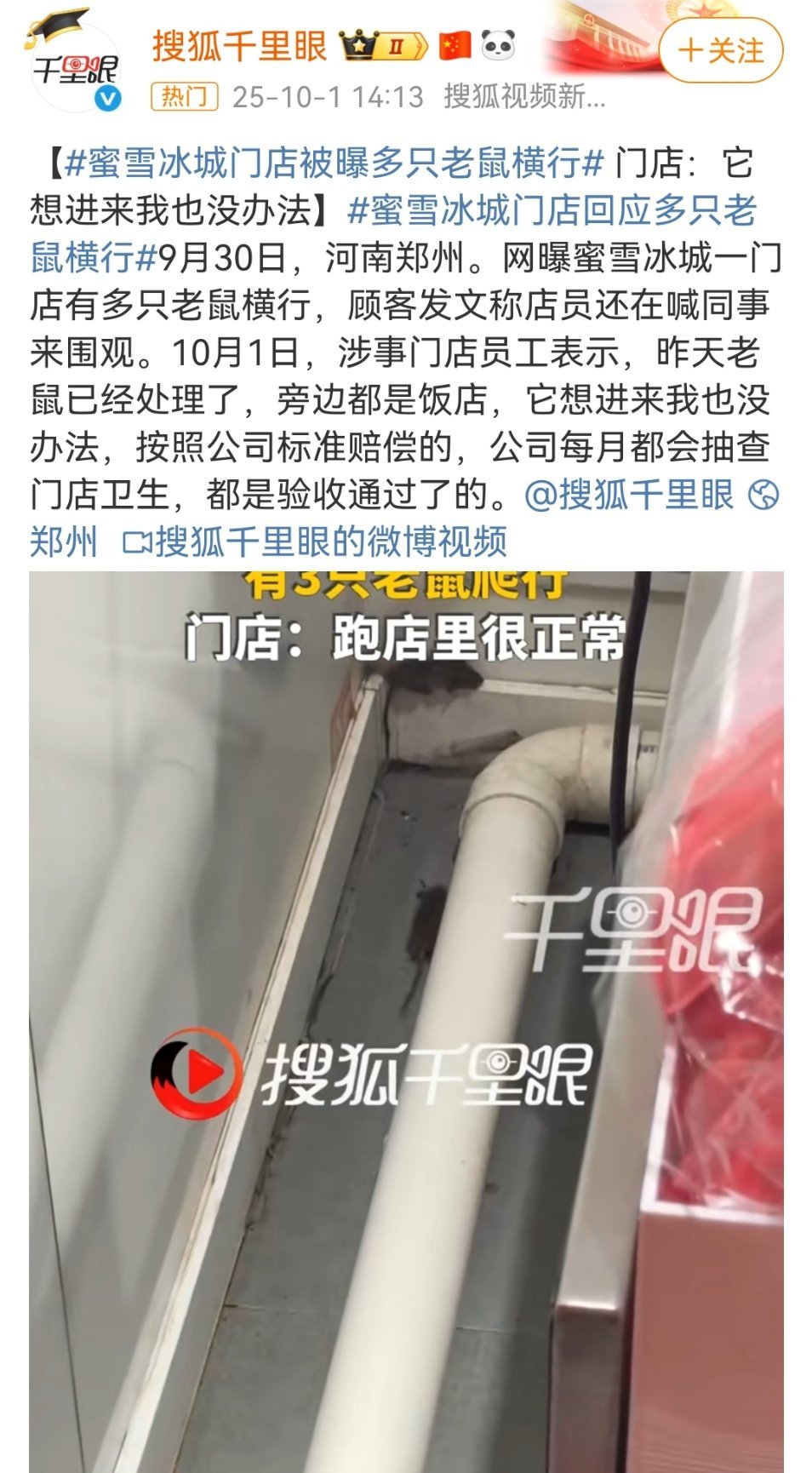 蜜雪冰城门店 老鼠横行呃，这个就很难评，放低姿态，好好整改吧。但是，蜜雪冰城该喝