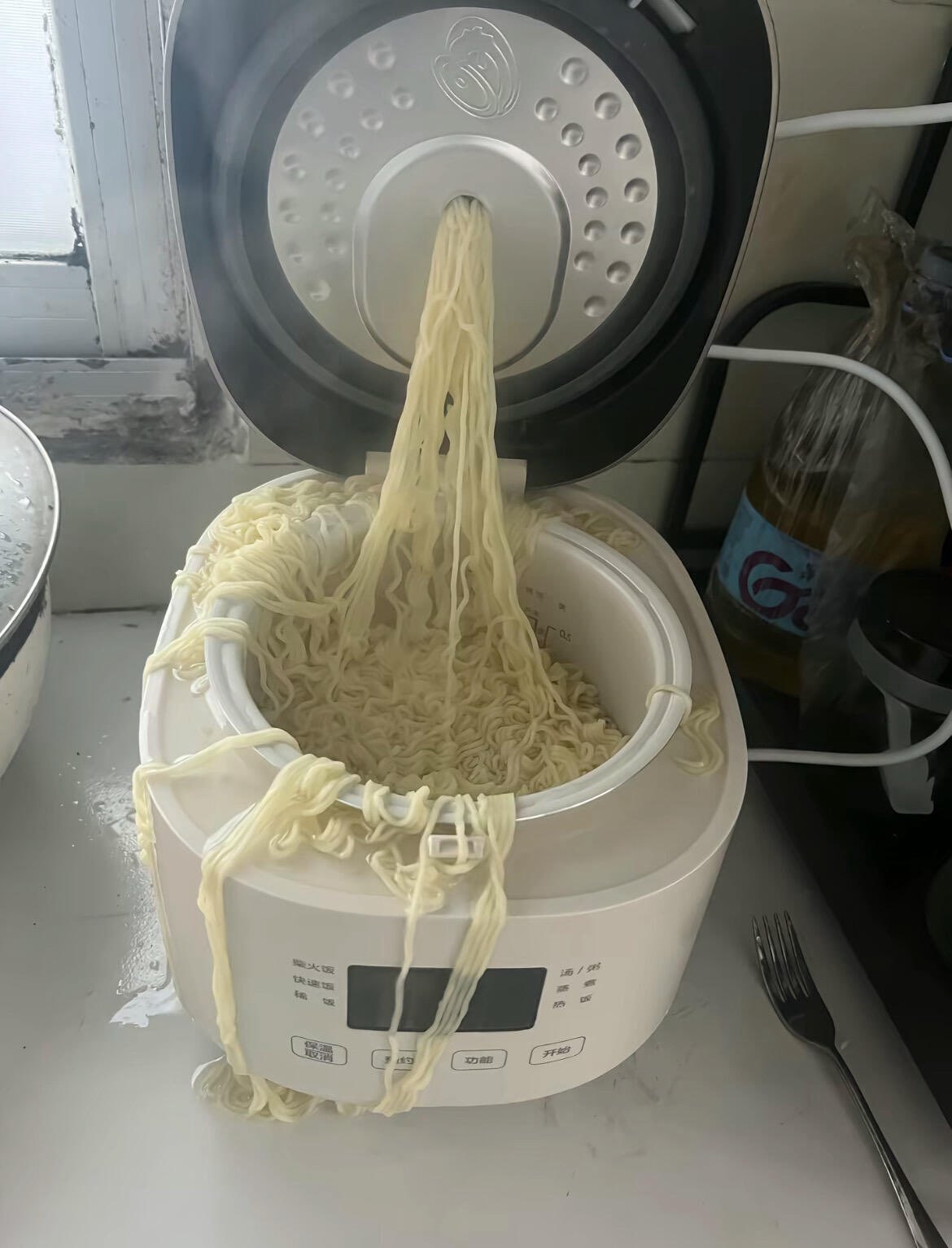 它怎么还自己嗦上了 