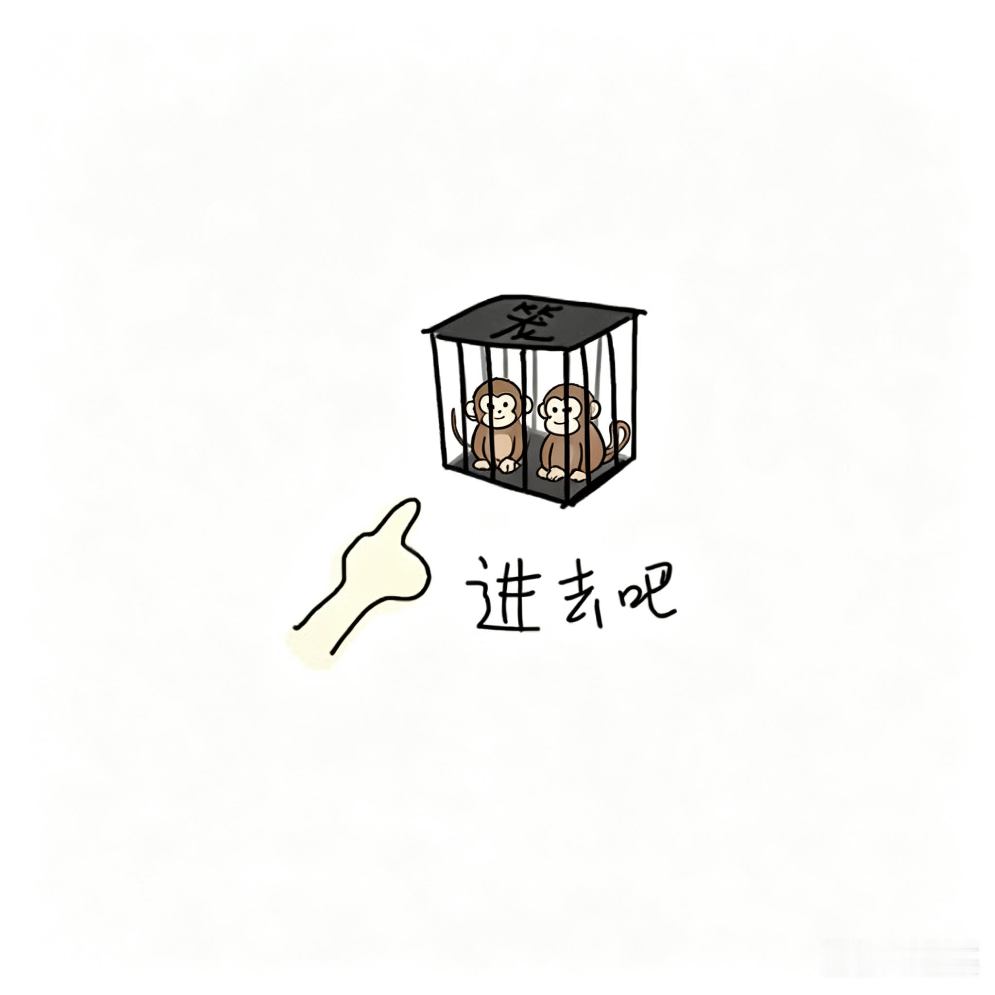 分享图片 