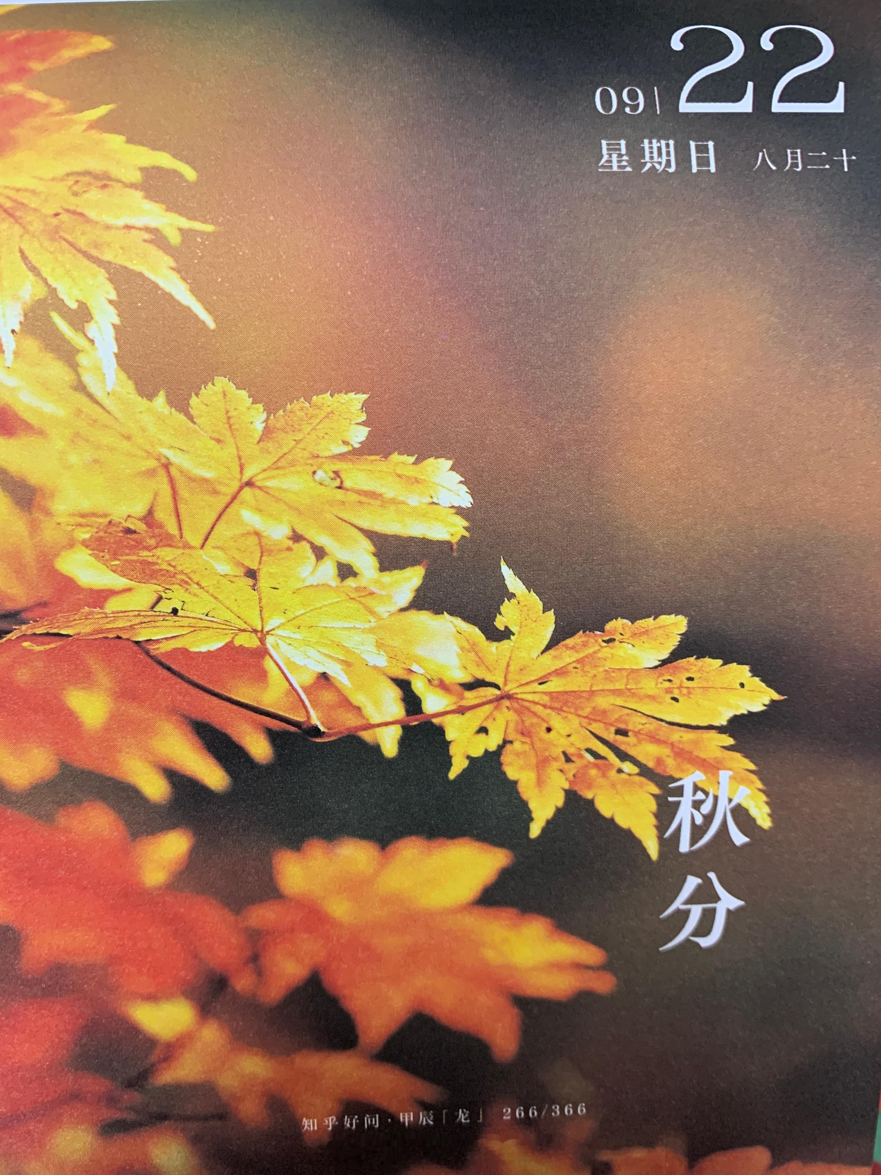 早安朋友们，今儿 ​​​