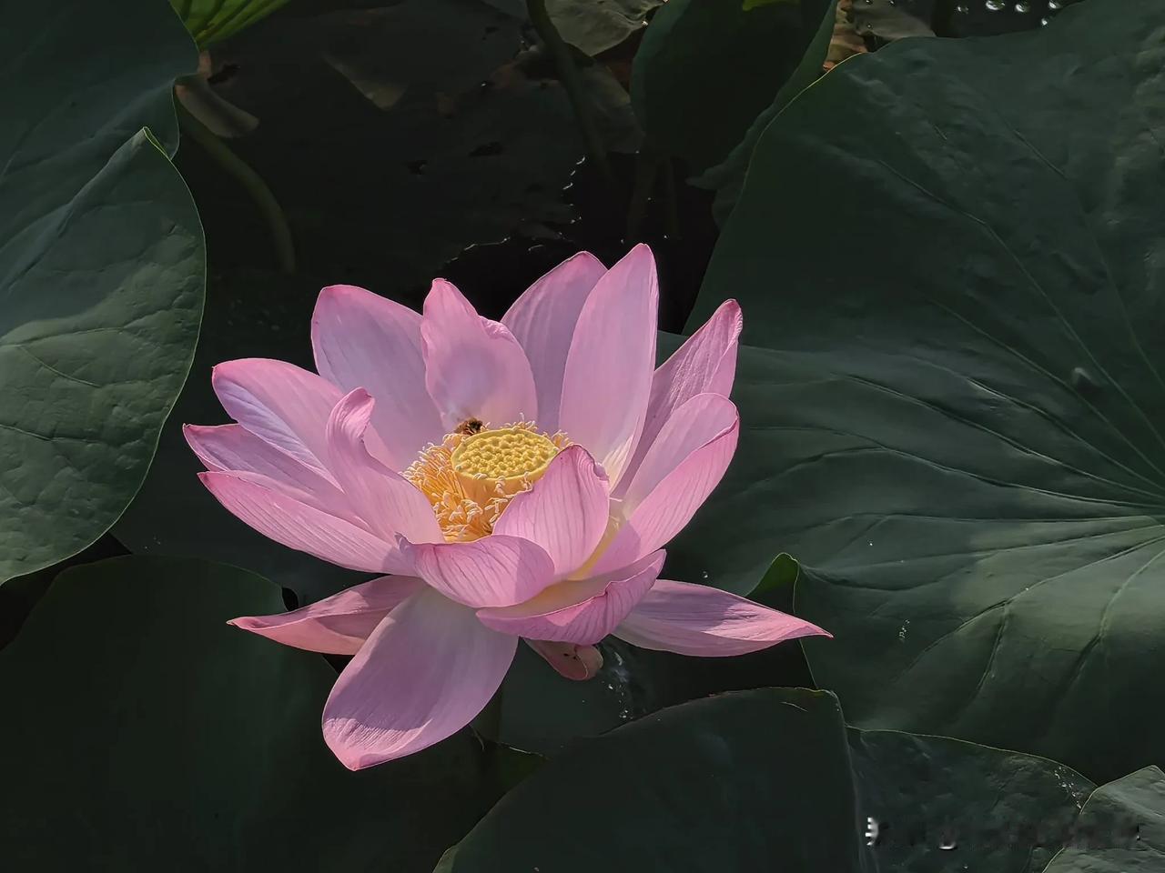 初中孩子的假期
这个假期放弃了跟风伤财的长途跋涉，
选择适合自己能力的短途周边游