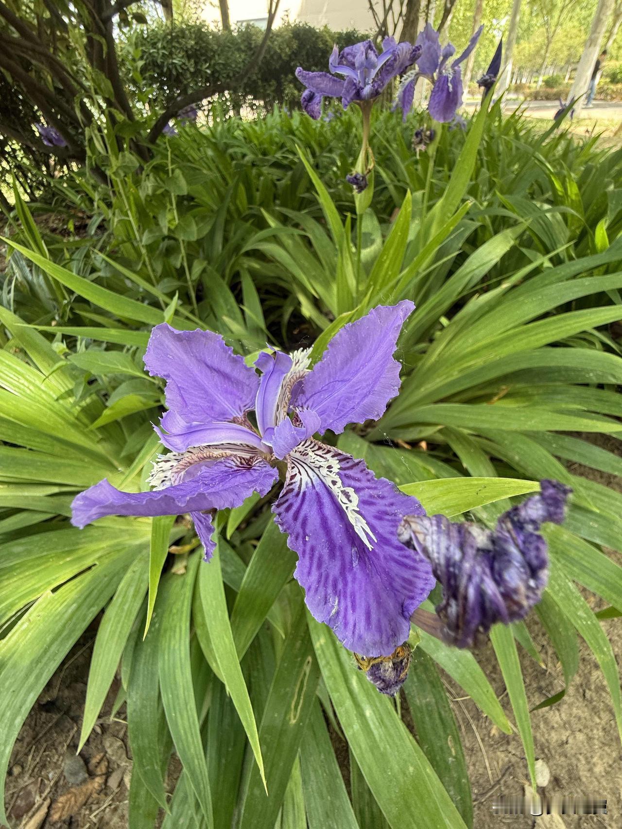 别人骂你,你会难过会在乎吗?
【小对联】
上：多嘴；
下：……？