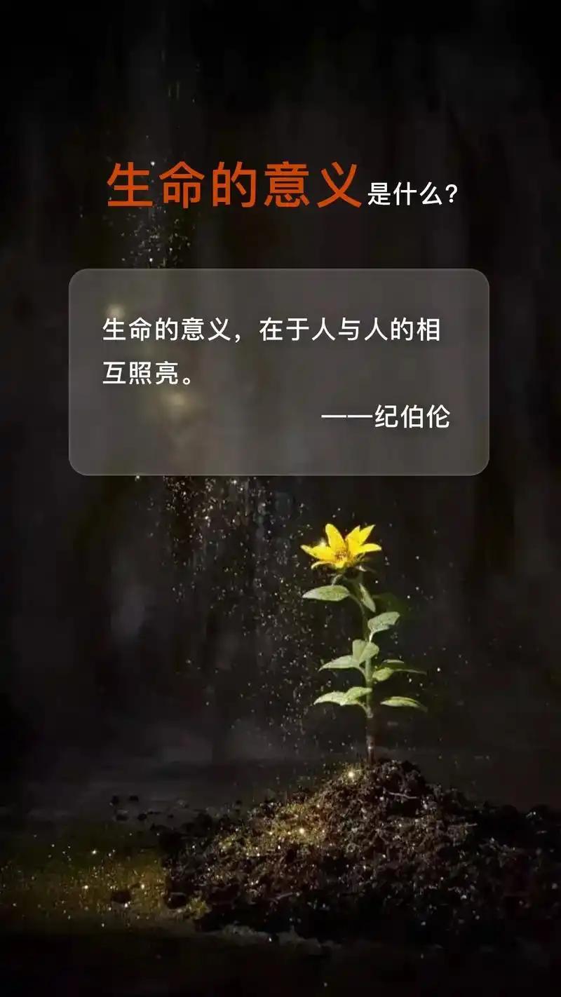 比如积极正向的价值观，为推动社会向新向上发展所带来的价值影响力和驱动力等等。历史