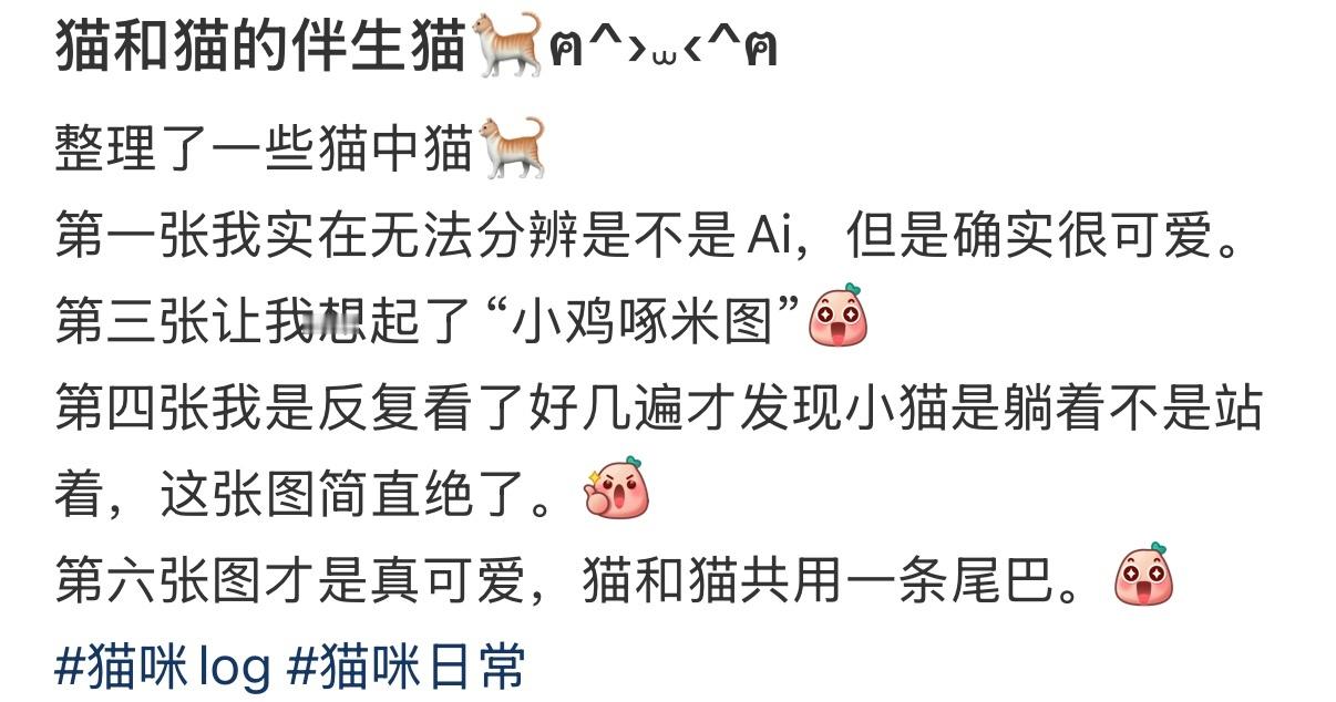 猫和猫的伴生猫 