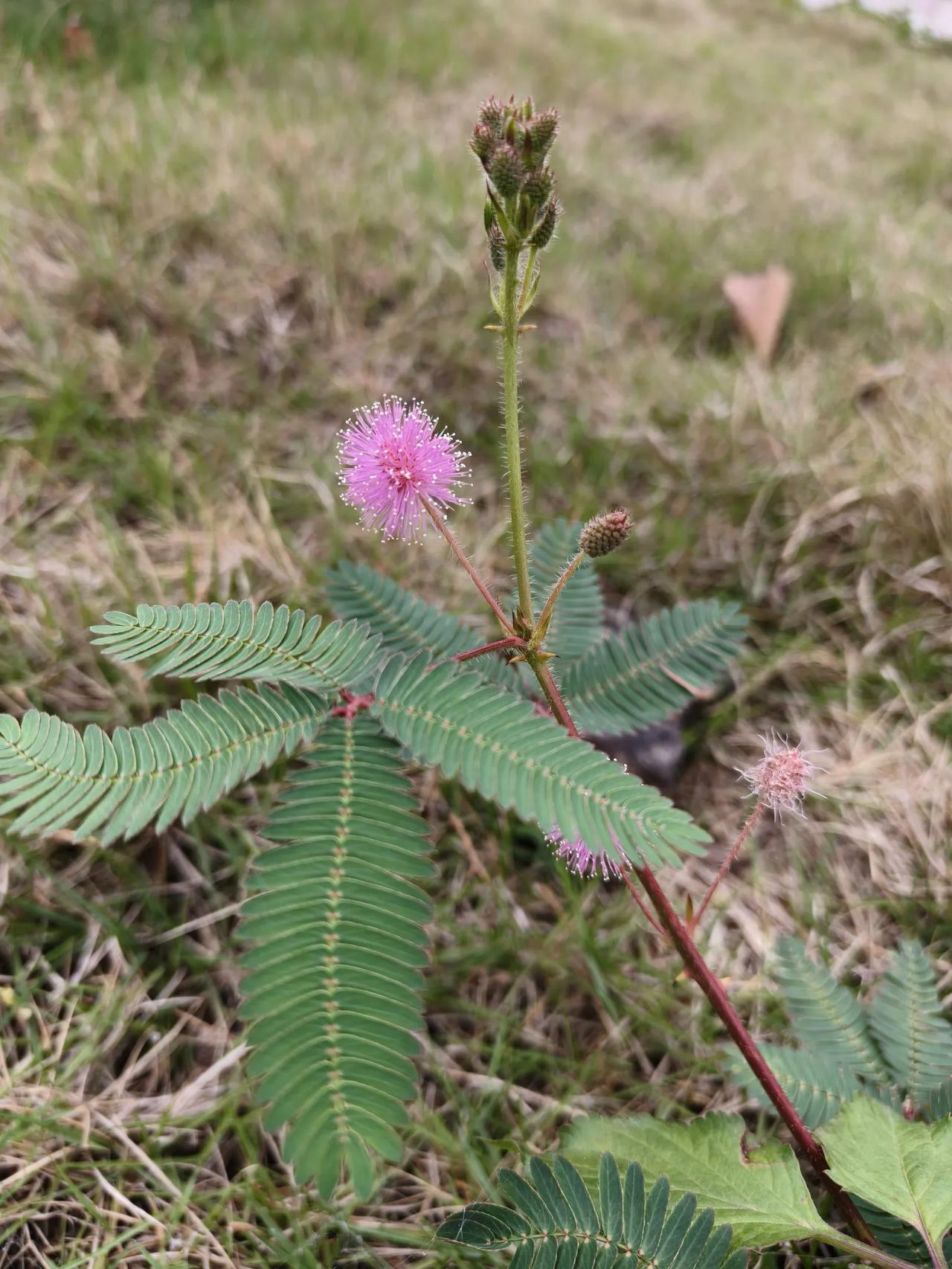 我喜欢表达，表达我的不满，表达我的看不惯，表达我的愤怒，表达我被不公平对待，用我