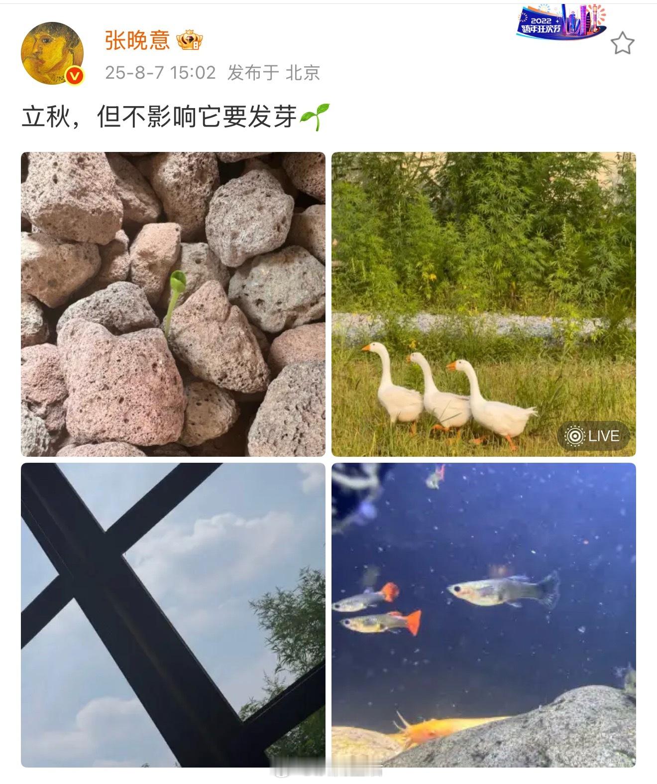 张晚意立秋营业啦，不过话说营业怎么可以不发自拍。罚你下次多发几张，最好九宫格。 