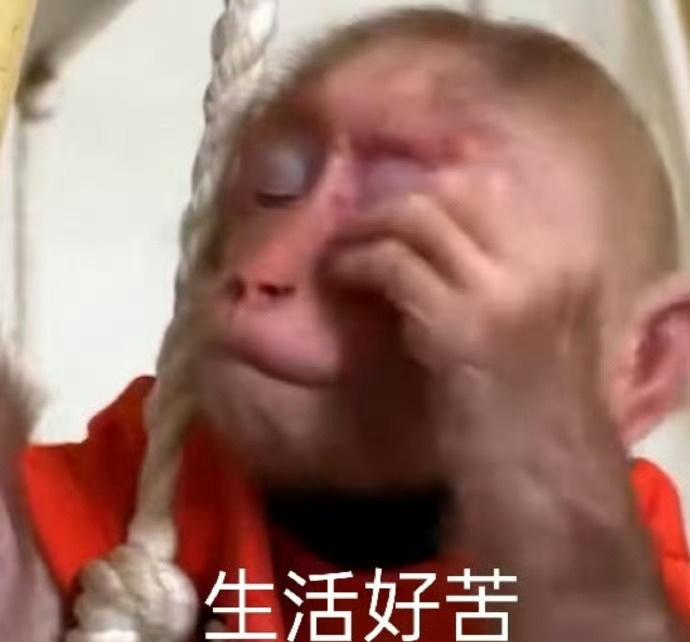 别把灵魂外包给算法，它会让你变得懒惰而空洞。去生活，去感受，去思考，这才是生而为