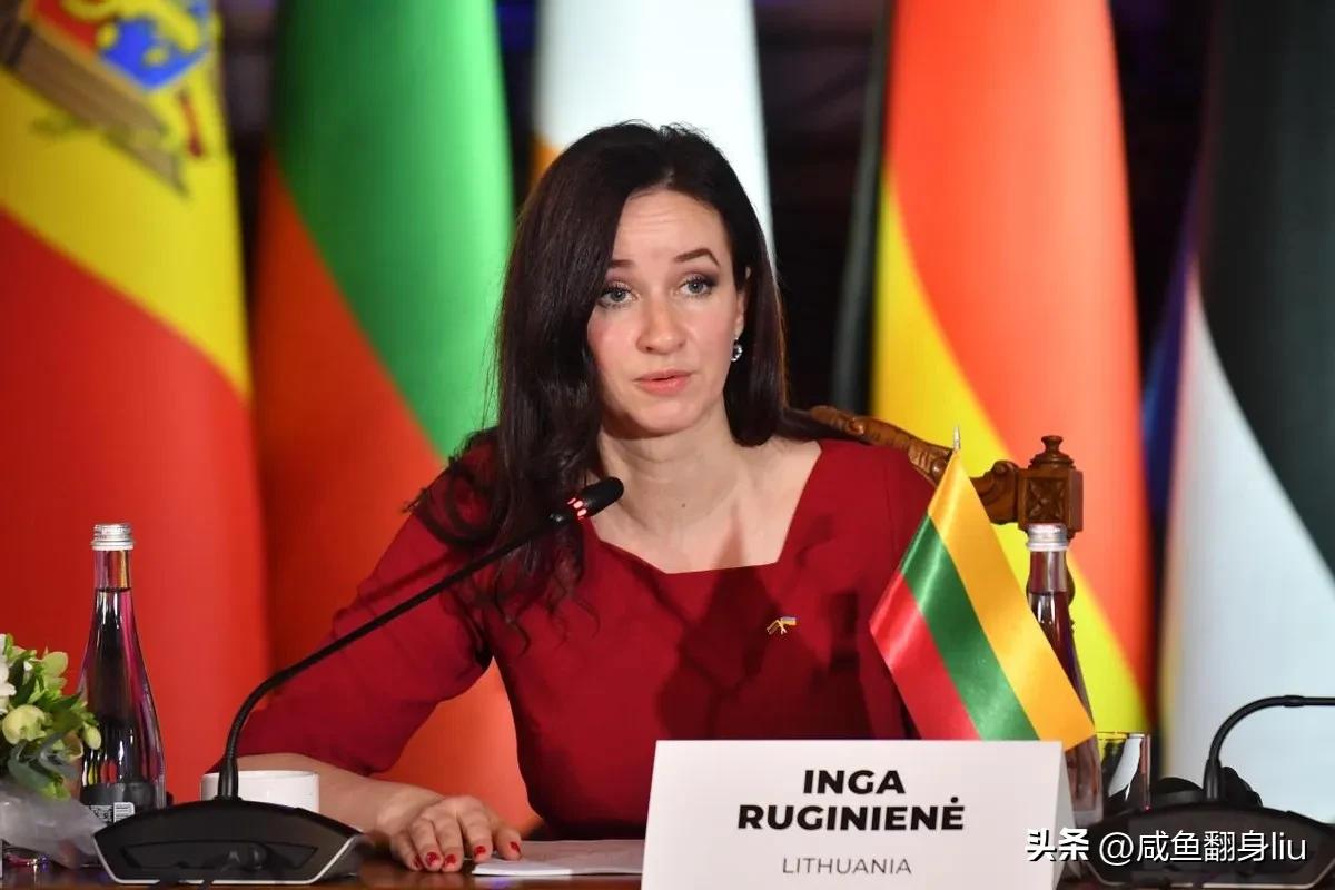立陶宛变天是立陶宛自身的事，跟中国毫无关系，中国干涉立陶宛内政了吗？中国对立陶宛